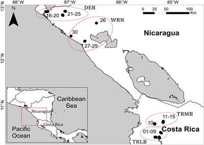 Environment and Space Rule, but Time Also Matters for the Organization of Tropical Pond Metacommunities